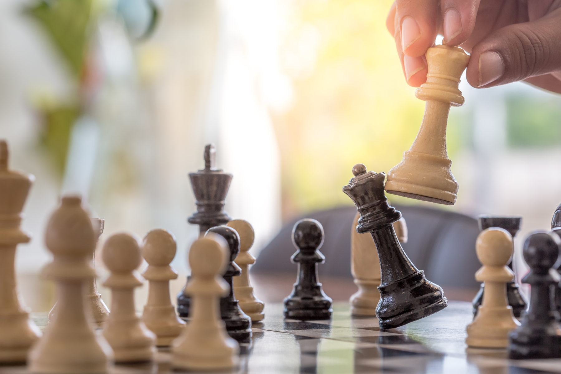 Лекция «Шахматная школа» в библиотеке № 44 на Онежской улице – события на сайте «Московские Сезоны»