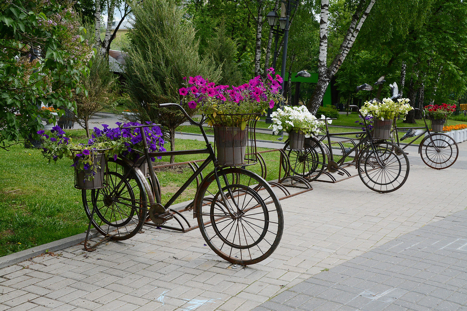 «Ночь в музее 2019» в Бабушкинском парке – события на сайте «Московские Сезоны»
