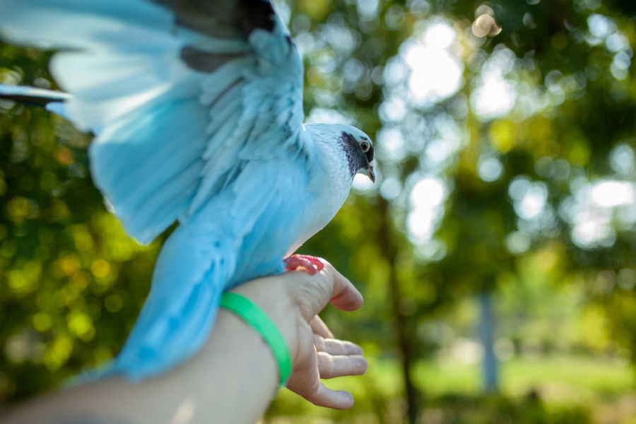 «AVESплоггинг» в парке «Москворецкий» – события на сайте «Московские Сезоны»