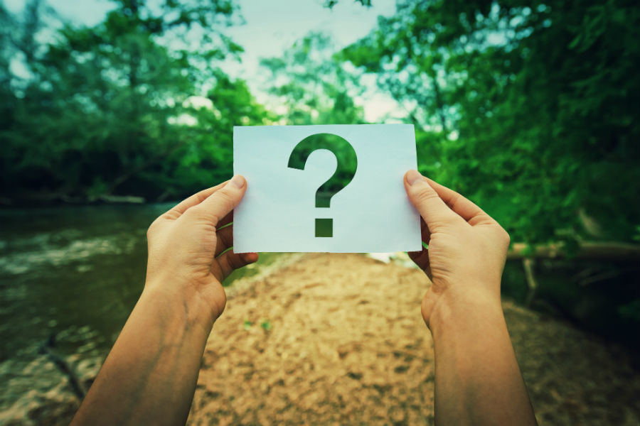 Квест-плоггинг в Северном – события на сайте «Московские Сезоны»