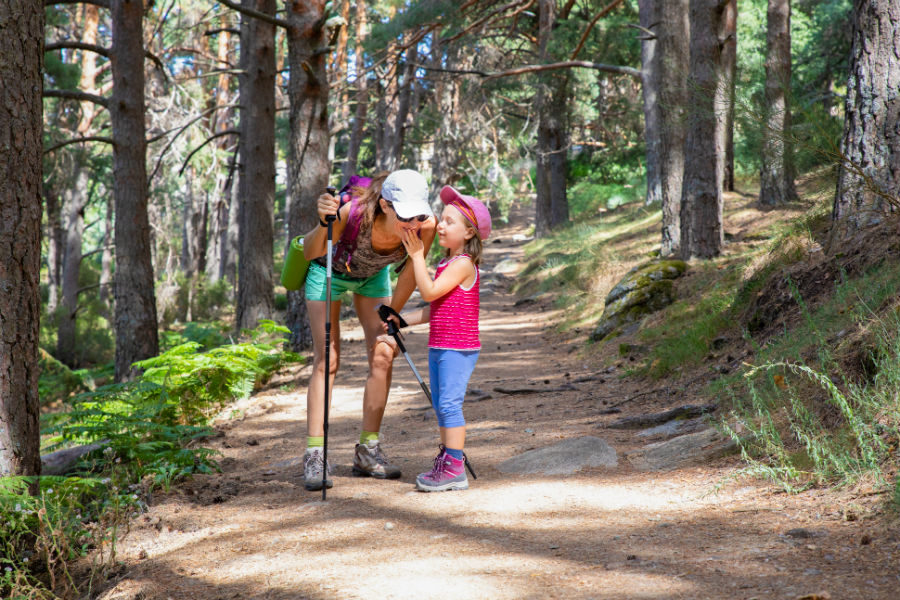 Соревнования для любителей птиц и скандинавской ходьбы в Битцевском лесу – события на сайте «Московские Сезоны»