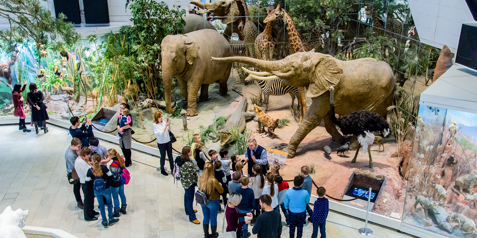 «Барбершоп для бюльбюля» в Дарвиновском музее – события на сайте «Московские Сезоны»