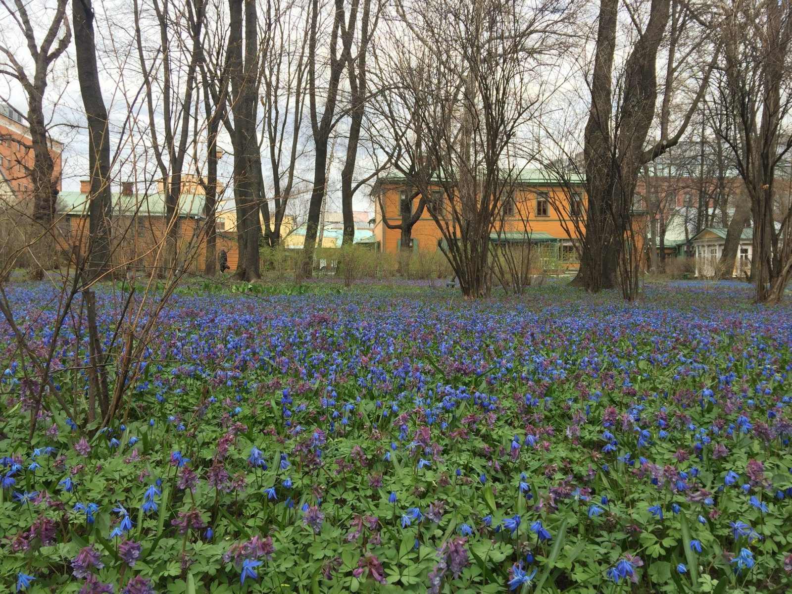 «Ночь в музее 2019» в Музее-усадьбе Льва Толстого в Хамовниках – события на сайте «Московские Сезоны»