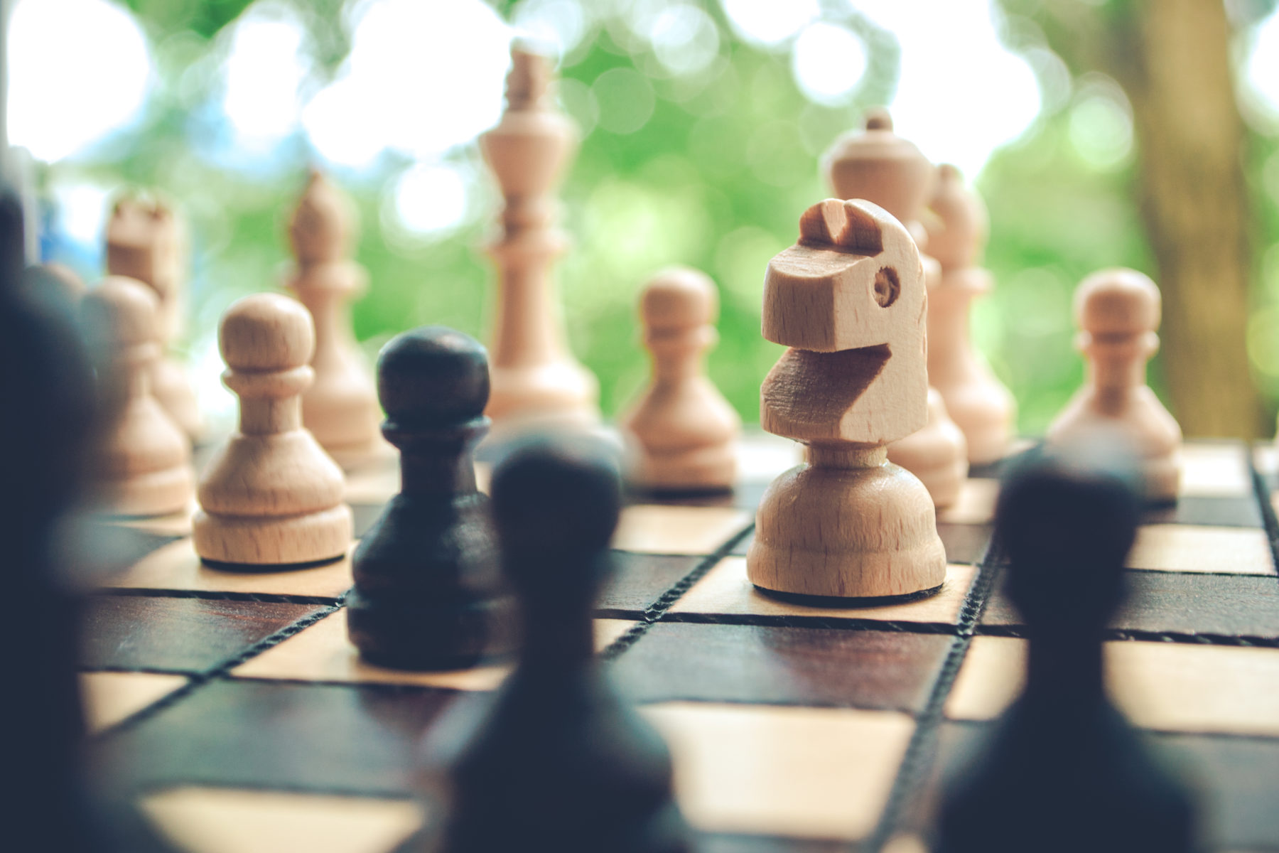 Шахматные для взрослых и детей в районе Матушкино – события на сайте «Московские Сезоны»