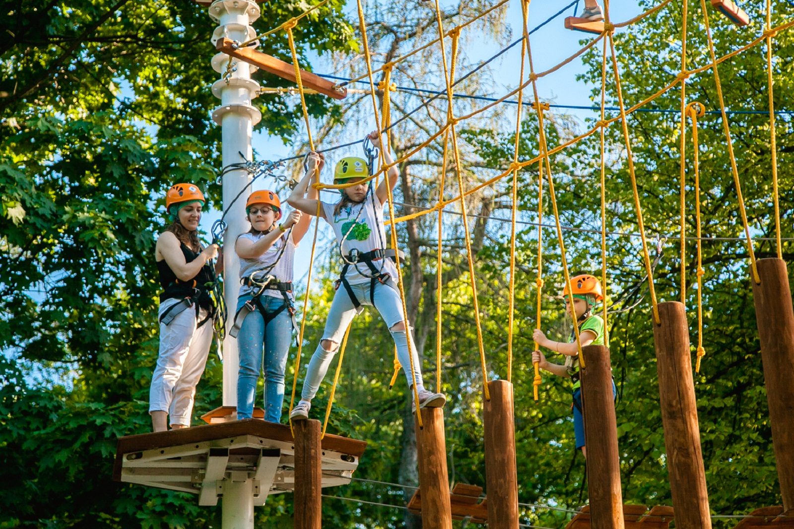 Весенний квест в панда-парке в «Сокольниках» – события на сайте «Московские Сезоны»