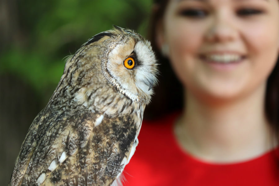 Кубок Москвы по спортивной орнитологии «Весна-2019» – события на сайте «Московские Сезоны»