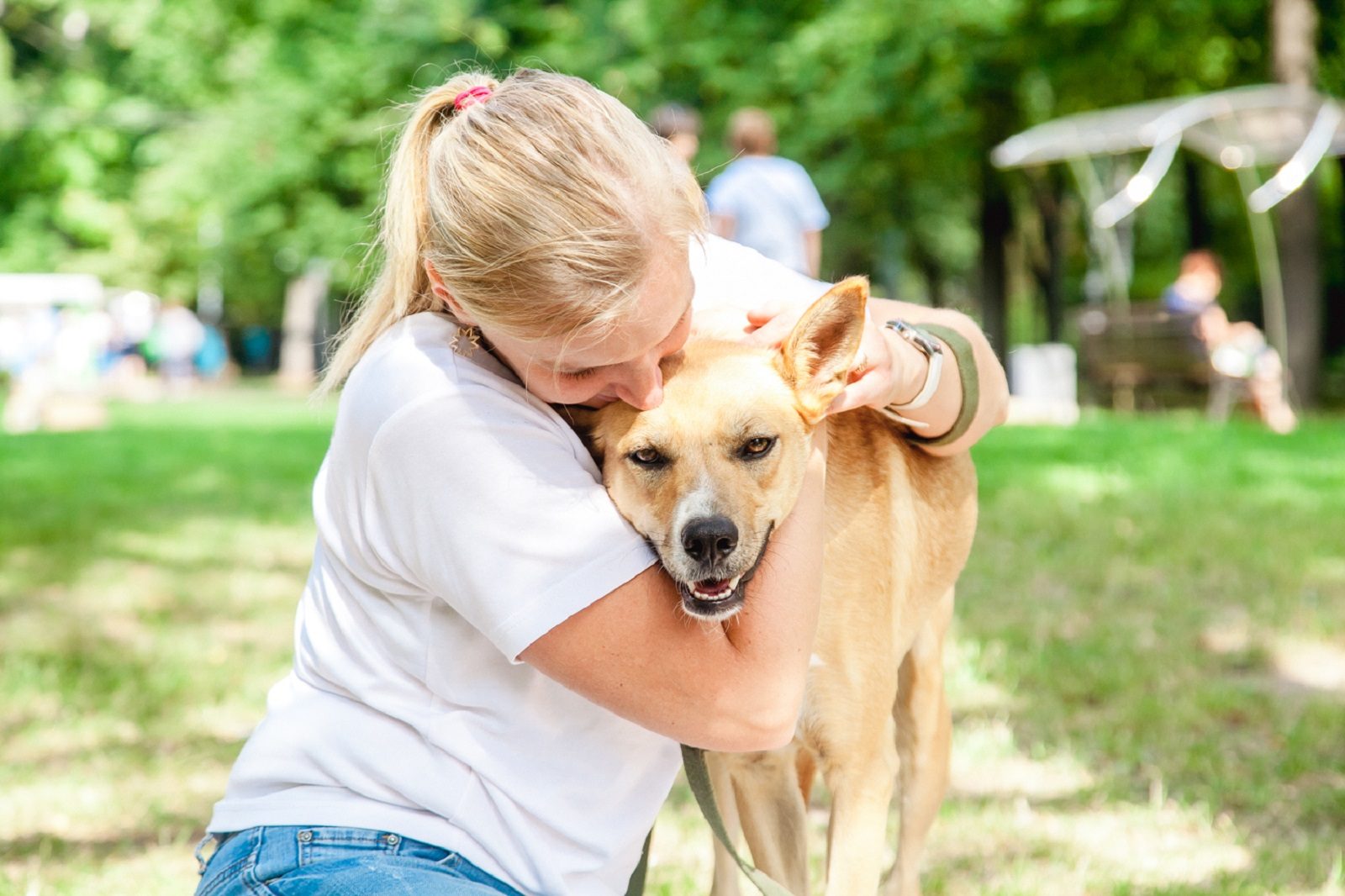 «Четыре лапы» в парке «Сокольники» – события на сайте «Московские Сезоны»