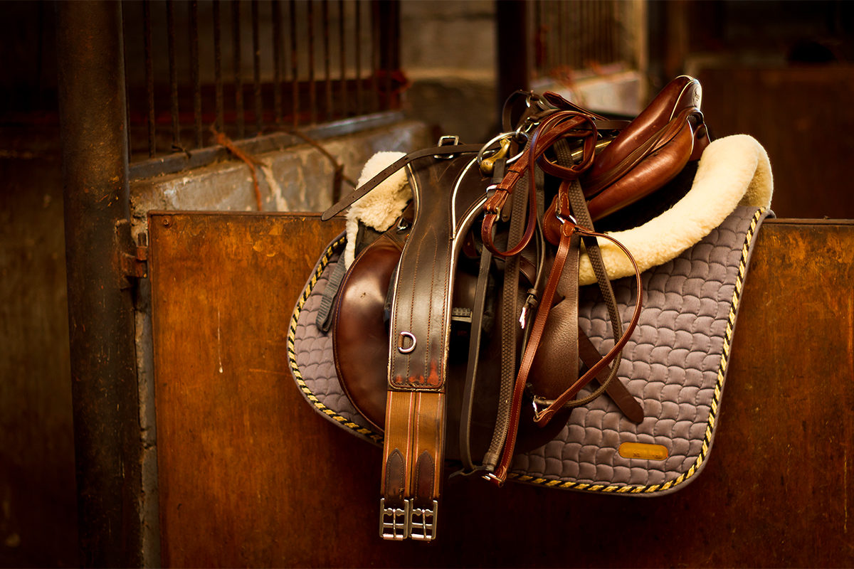 Фестиваль детского творчества «В гостях у пони» в районе Измайлово – события на сайте «Московские Сезоны»