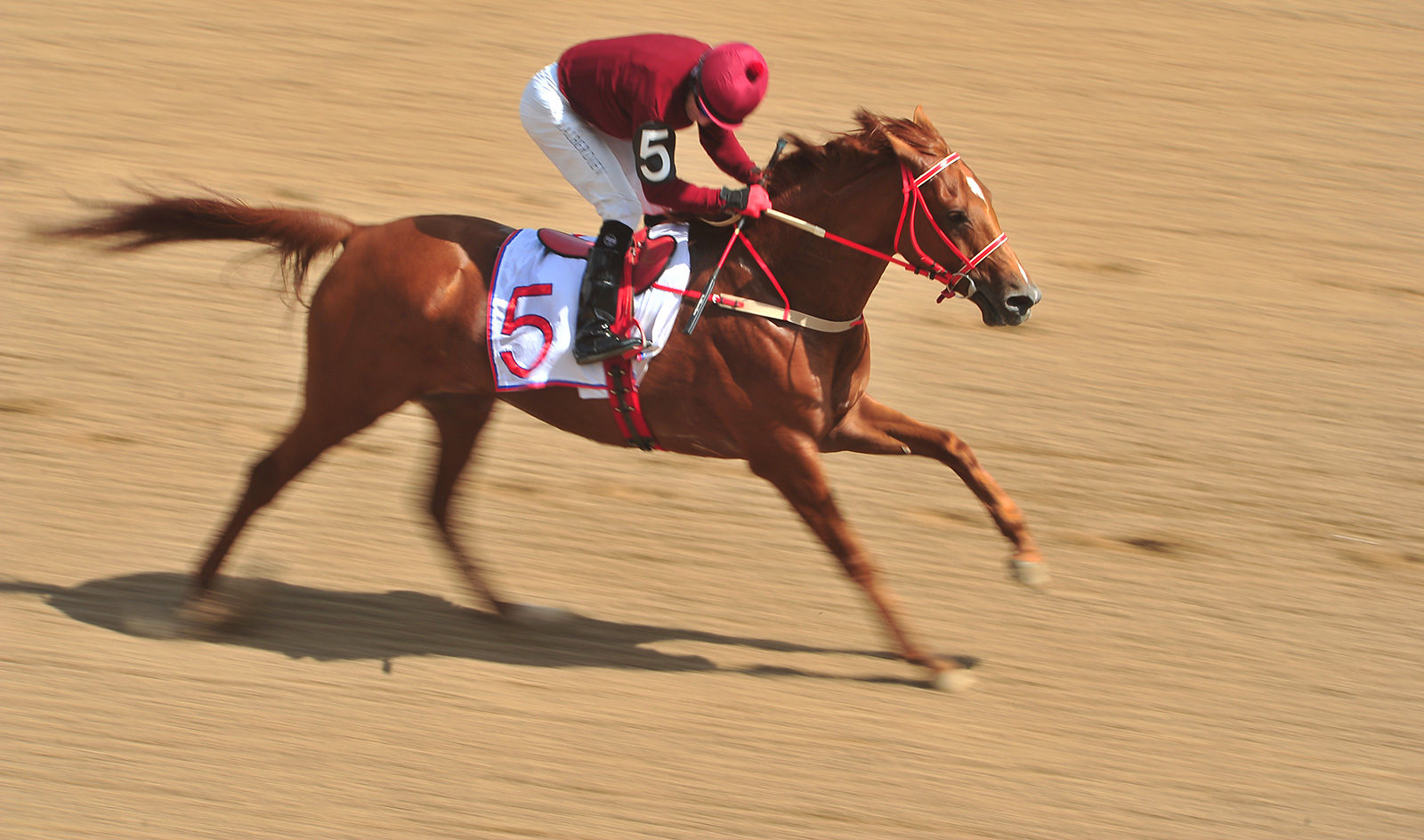 «Олимпиада-80: на трибунах не становится тише» в парке «Зарядье» – события на сайте «Московские Сезоны»