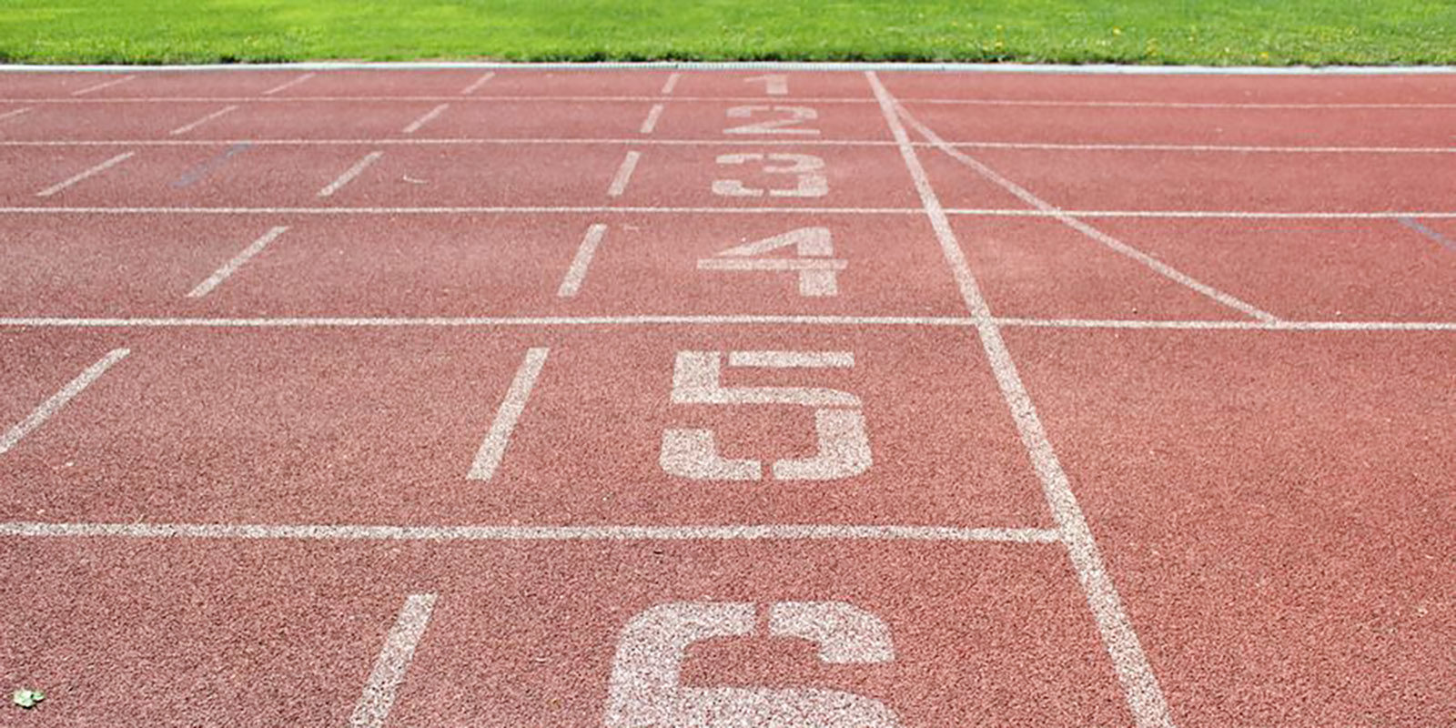 Финал спартакиады «Мир равных возможностей» в спортивном комплексе «Искра» – события на сайте «Московские Сезоны»