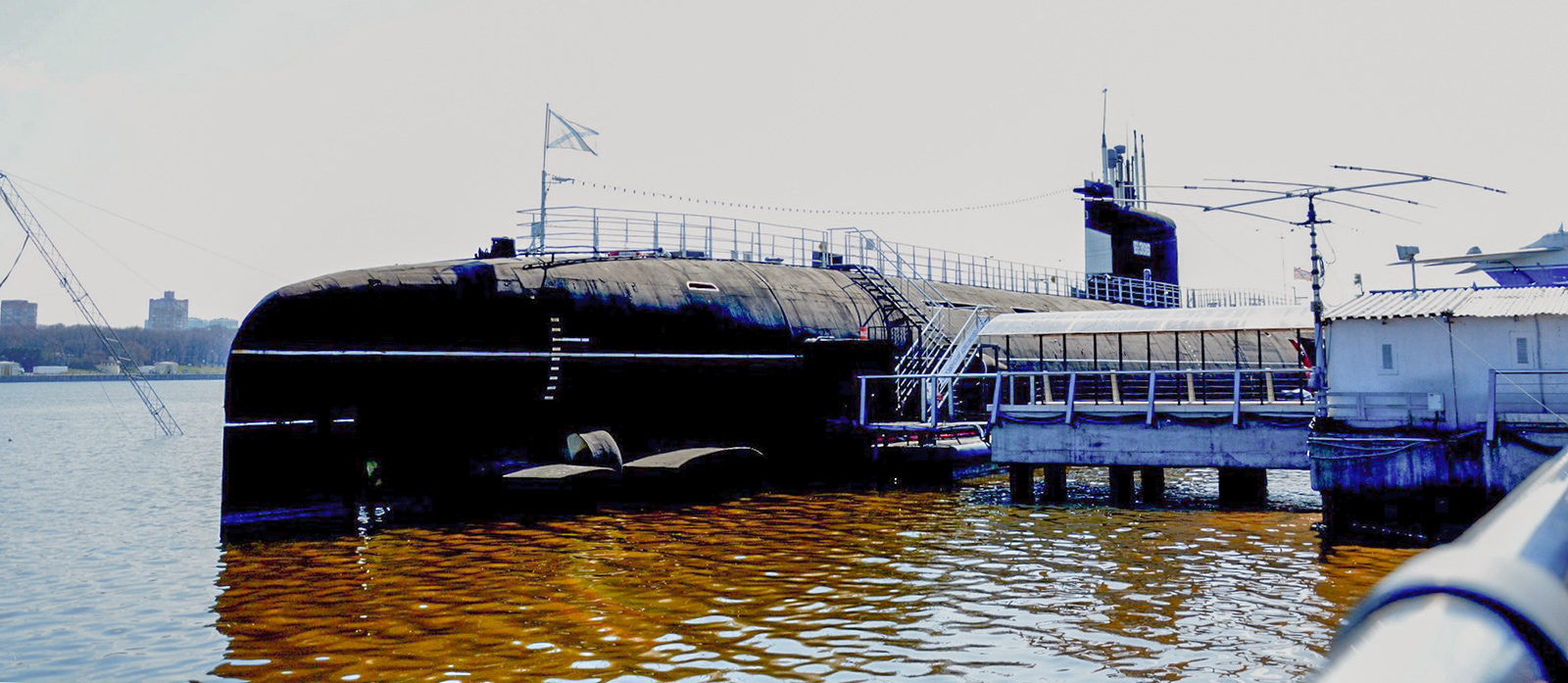 «Морской quiz» в парке «Северное Тушино» – события на сайте «Московские Сезоны»