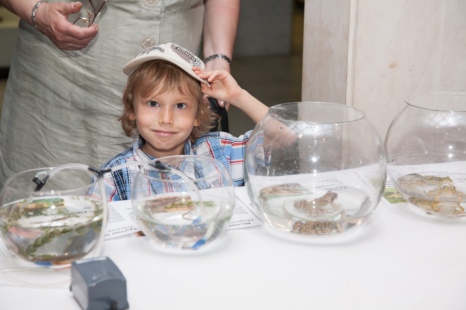 Праздник «День эколога» в Дарвиновском музее – события на сайте «Московские Сезоны»
