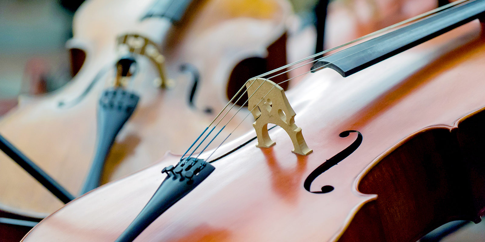 «Академия старинной музыки» в музее-заповеднике «Коломенское» – события на сайте «Московские Сезоны»