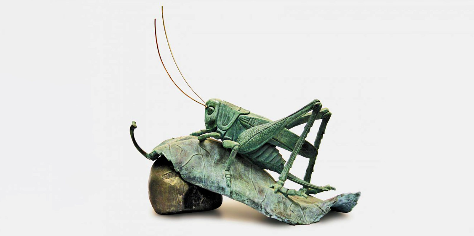 «Класс! Насекомые!» в Дарвиновском музее – события на сайте «Московские Сезоны»