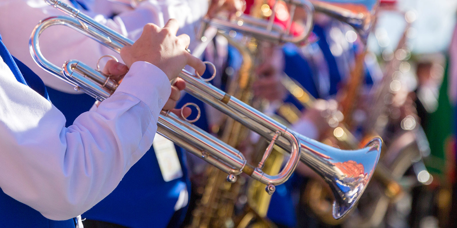 Ретродискотека в яблоневом саду на Бирюлевской улице – события на сайте «Московские Сезоны»