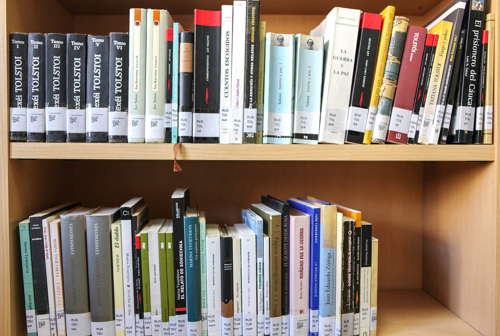 Уроки испанского языка в саду имени Баумана – события на сайте «Московские Сезоны»