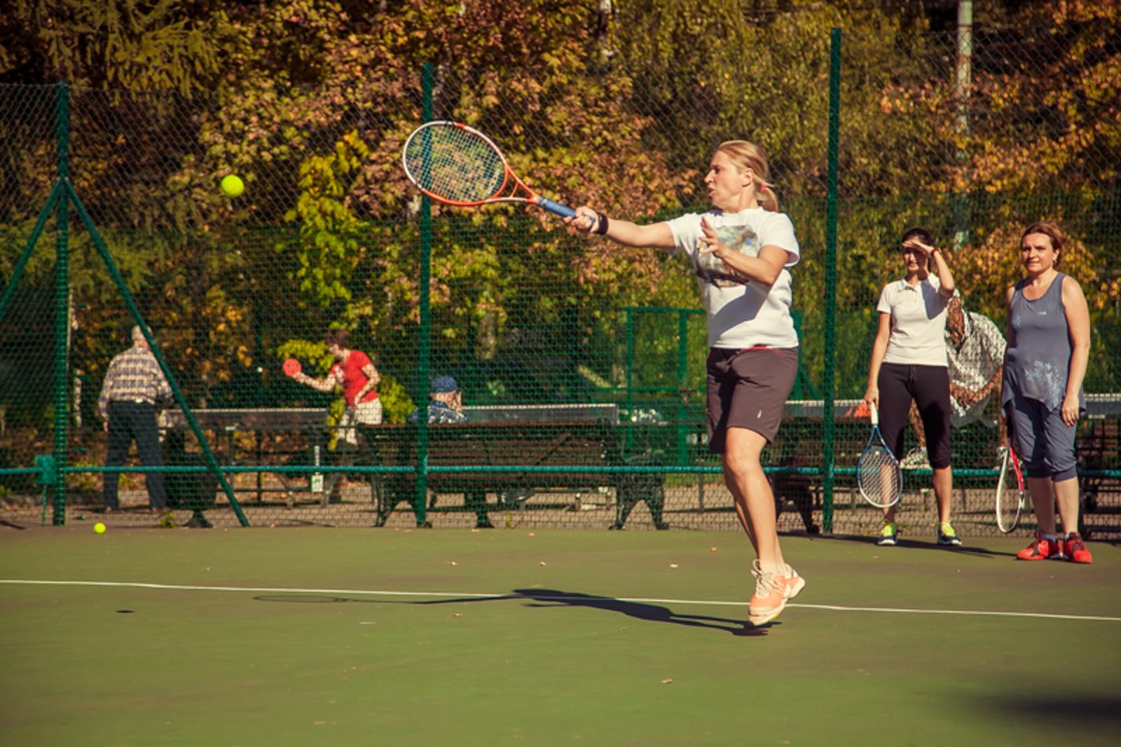 Теннисный турнир в парке «Сокольники» – события на сайте «Московские Сезоны»