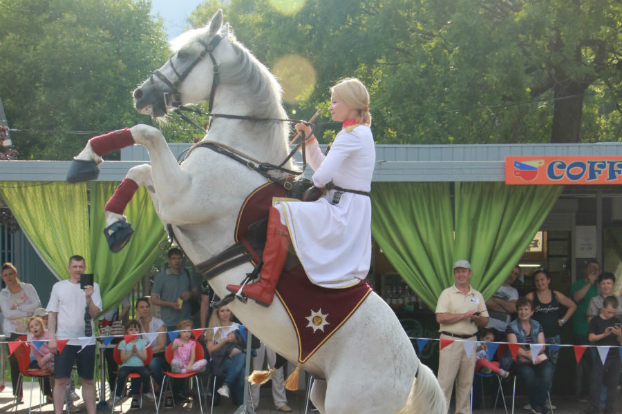 Шоу Кремлевской школы верховой езды в Лианозовском парке – события на сайте «Московские Сезоны»