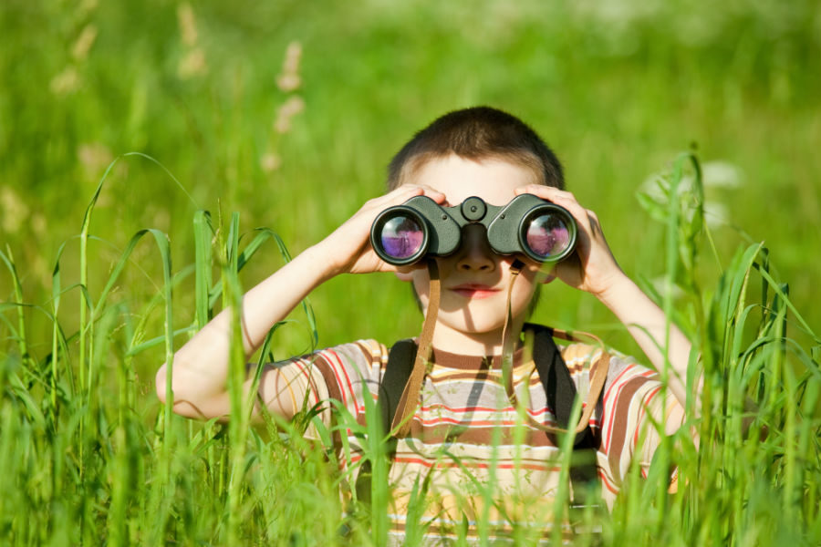 Спортивно-экологический квест «Zбежим в Измайлово!» – события на сайте «Московские Сезоны»