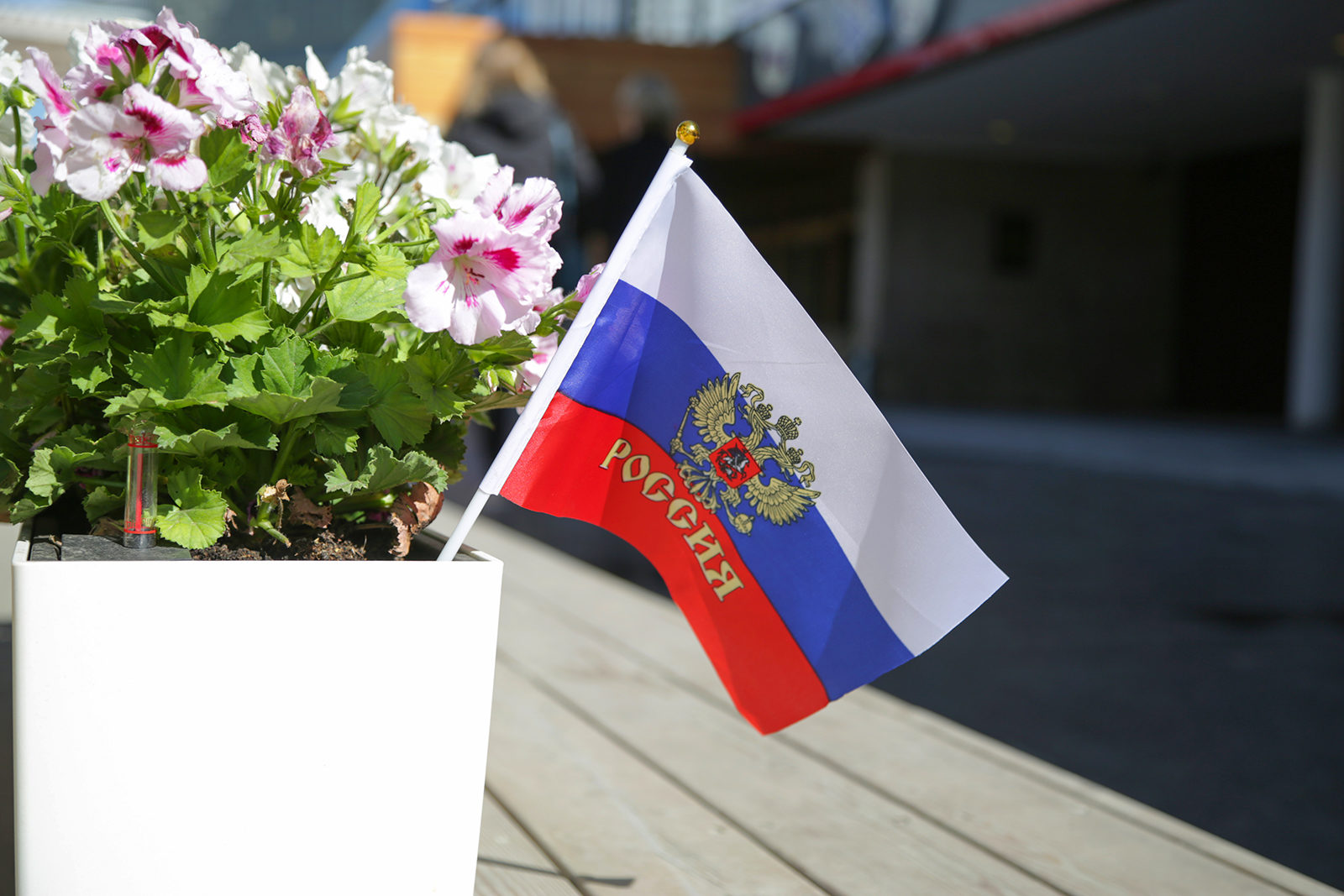 День России 2019 в Бабушкинском парке – события на сайте «Московские Сезоны»