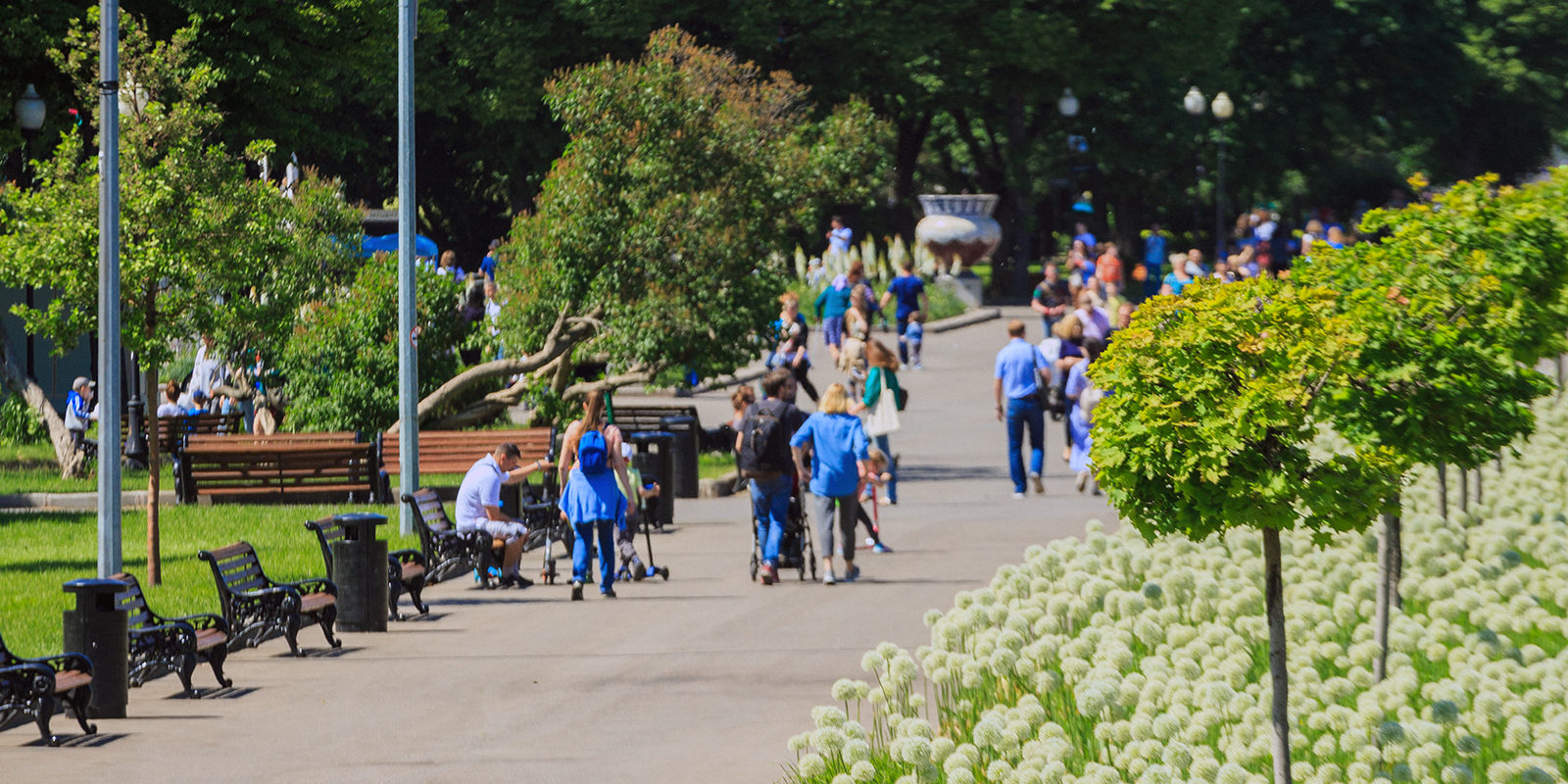 Экопрогулка по Парку Горького – события на сайте «Московские Сезоны»