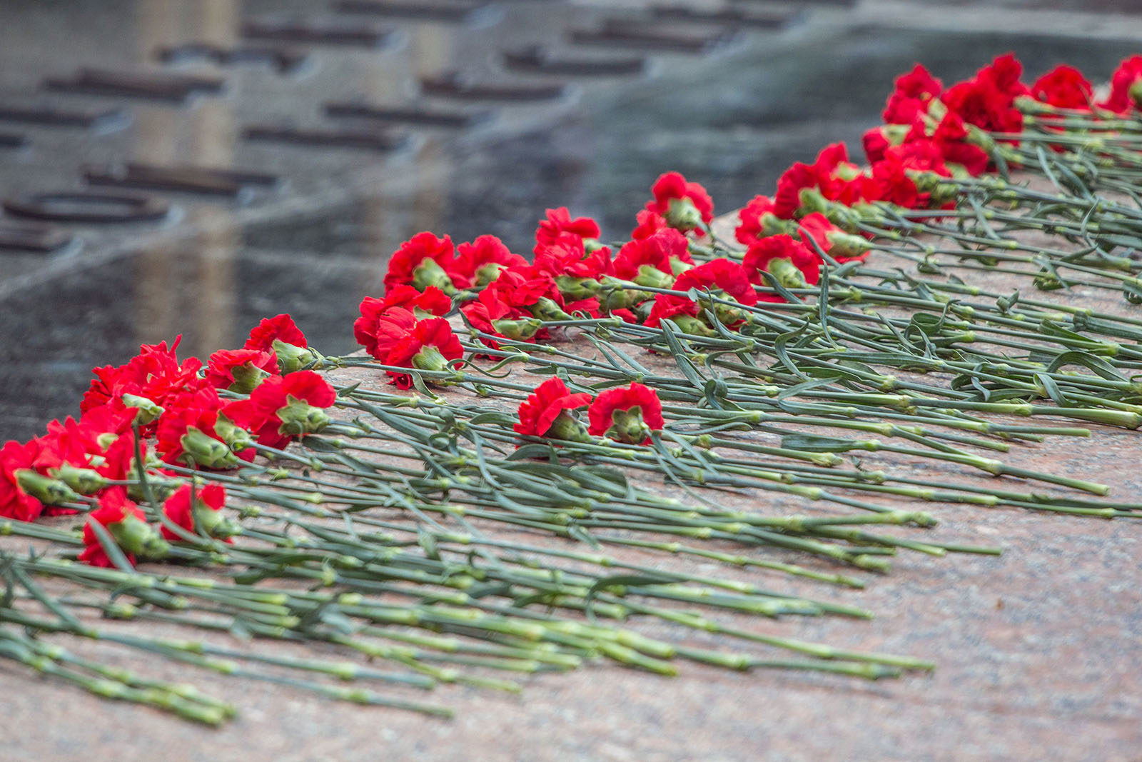 Акция ко Дню памяти и скорби в культурном центре «Лидер» – события на сайте «Московские Сезоны»