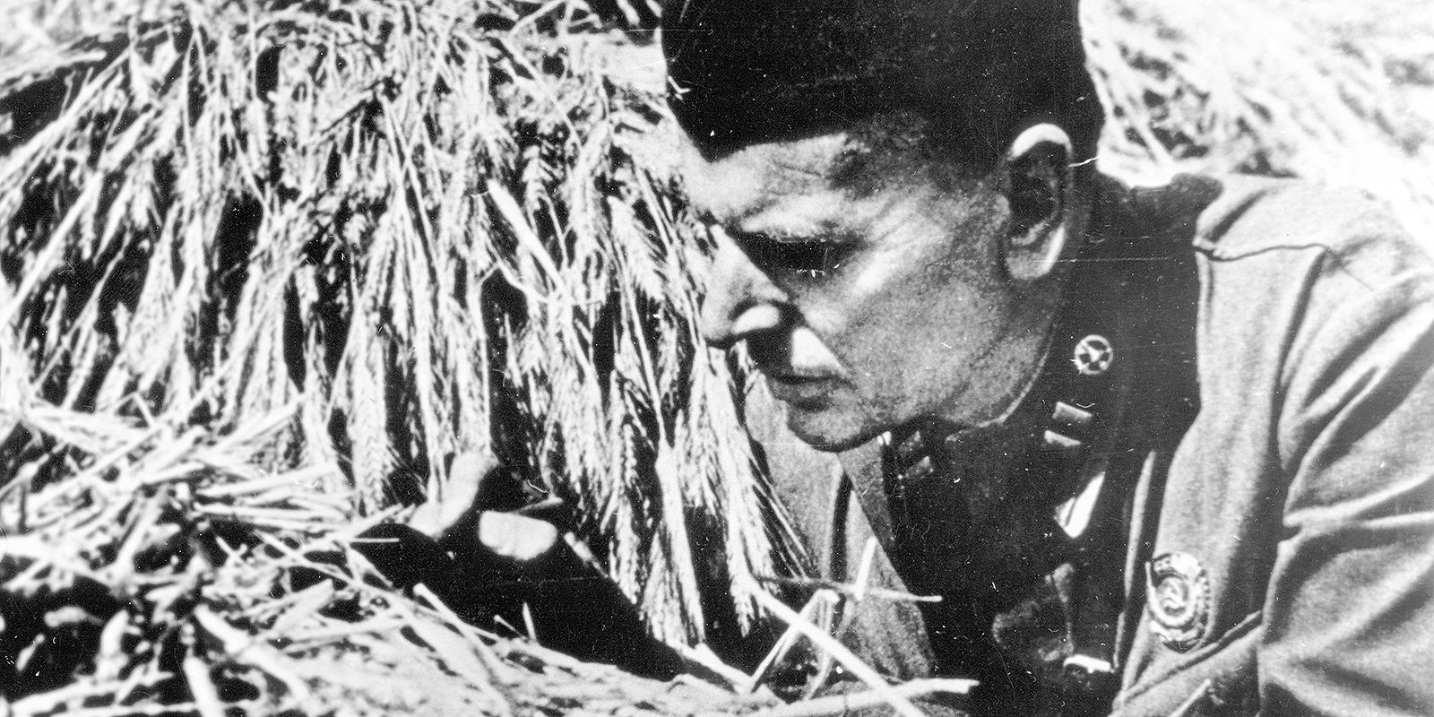 Программа «За дымом и грохотом войны» в Музее К. Г. Паустовского – события на сайте «Московские Сезоны»