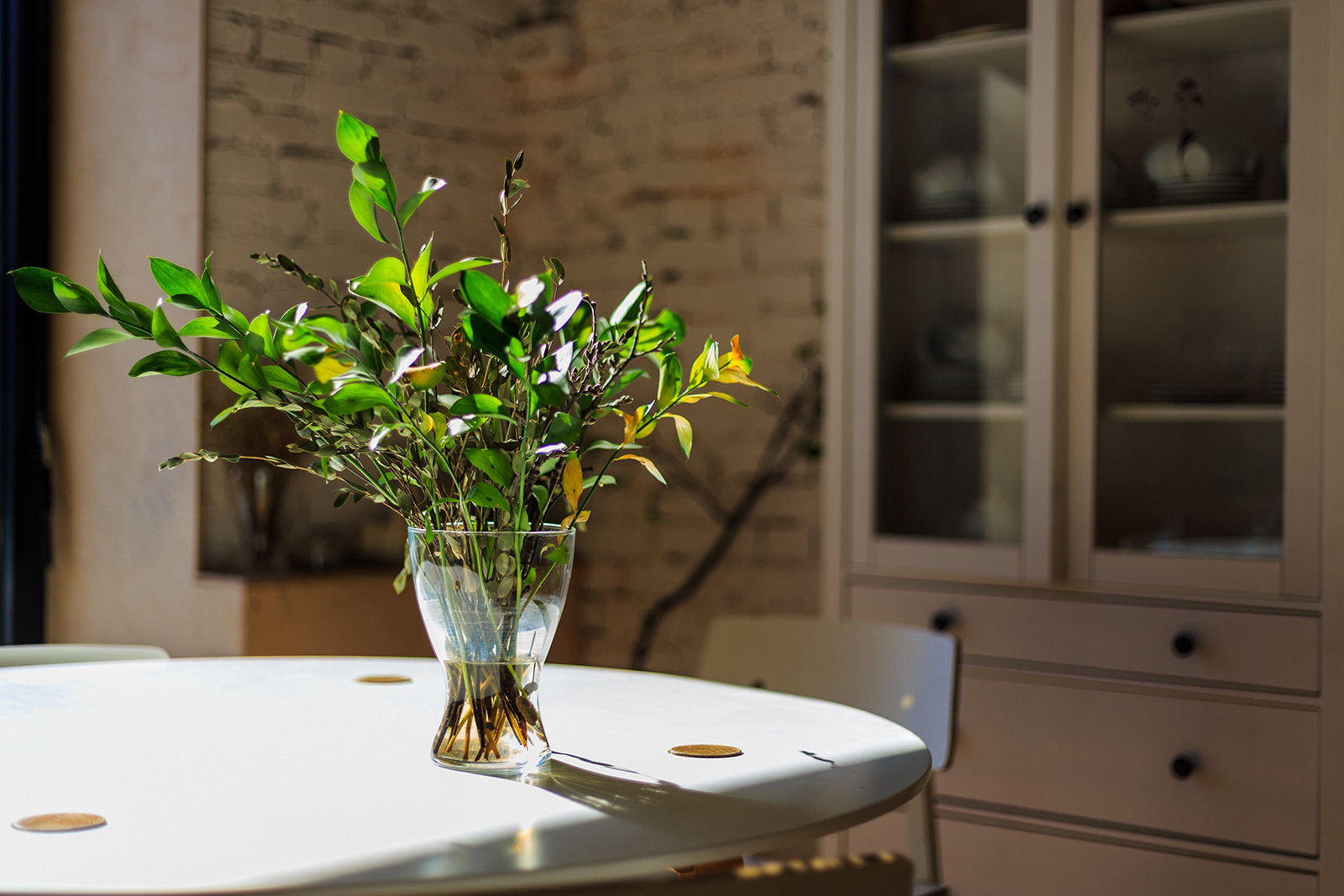 «Гербарий в стекле» в лектории Парка Горького – события на сайте «Московские Сезоны»