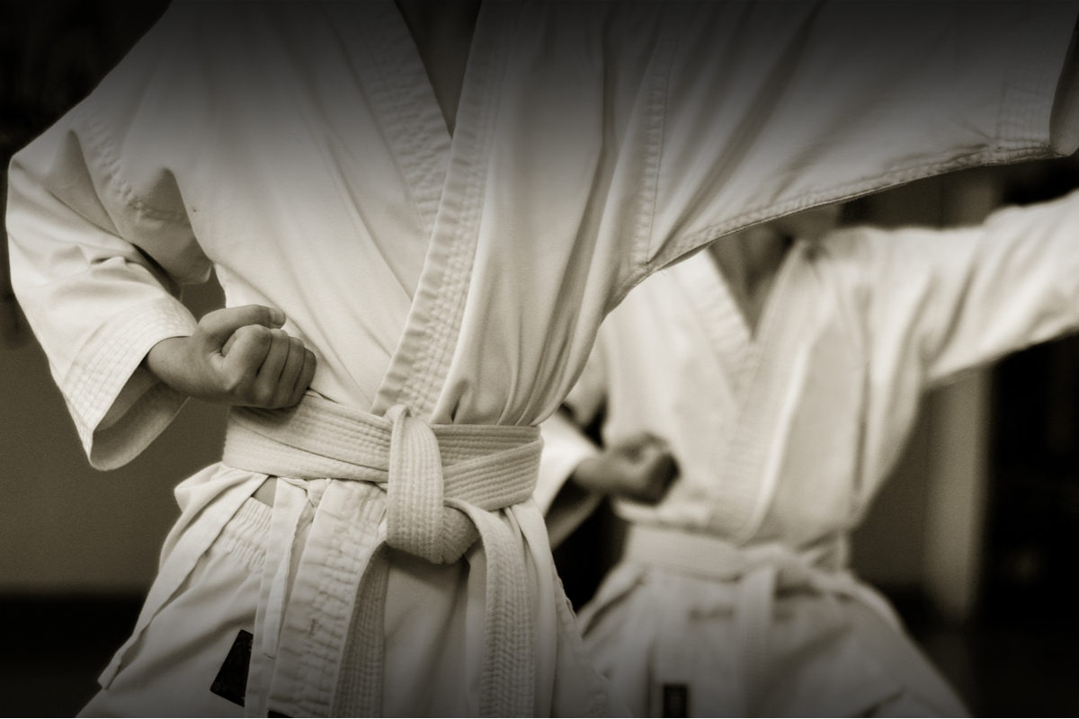 Летние интенсивы студии карате «Тигричи» в Останкино – события на сайте «Московские Сезоны»