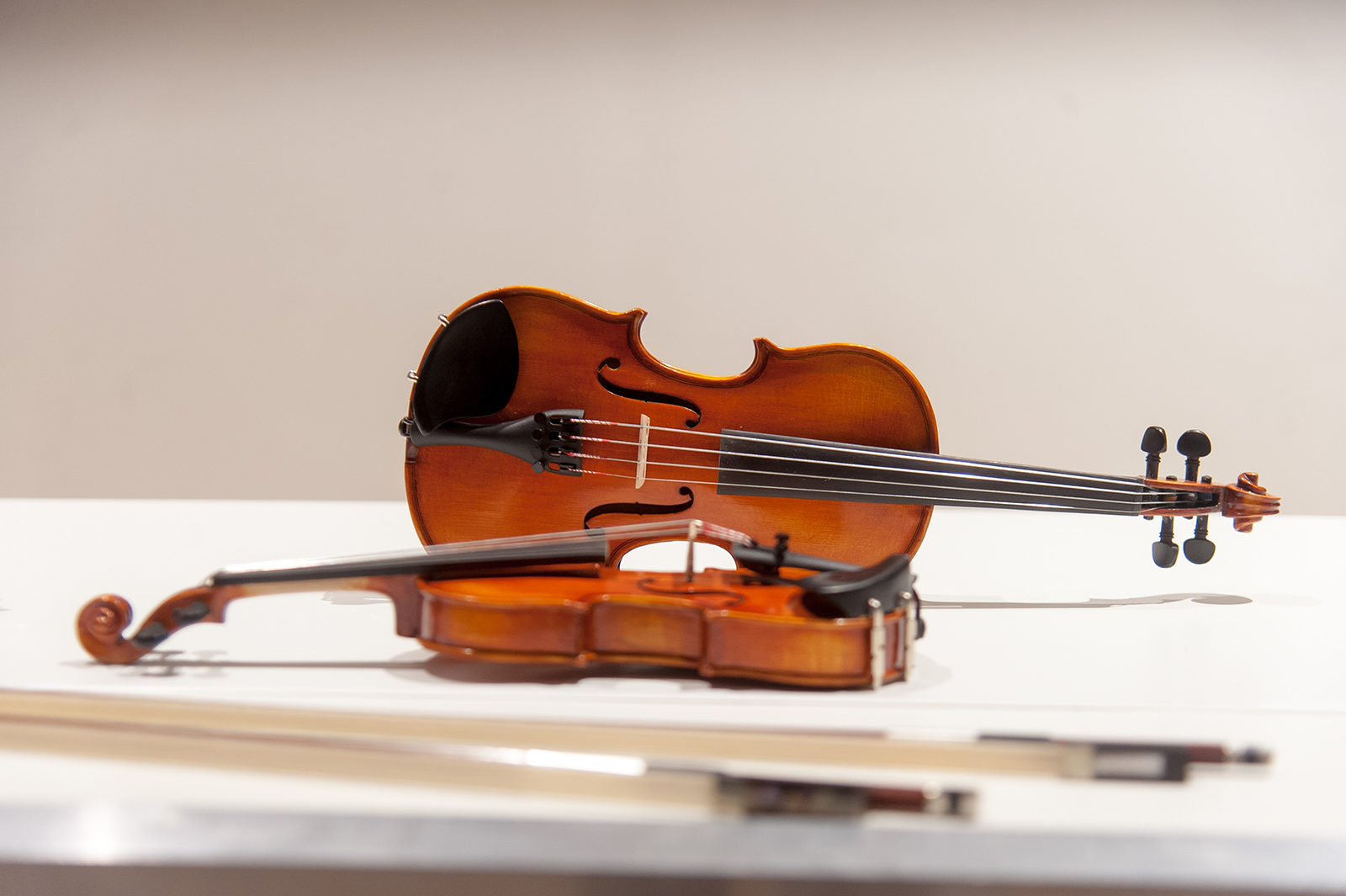 «Струны Рейна» в Государственном музее А.С. Пушкина – события на сайте «Московские Сезоны»