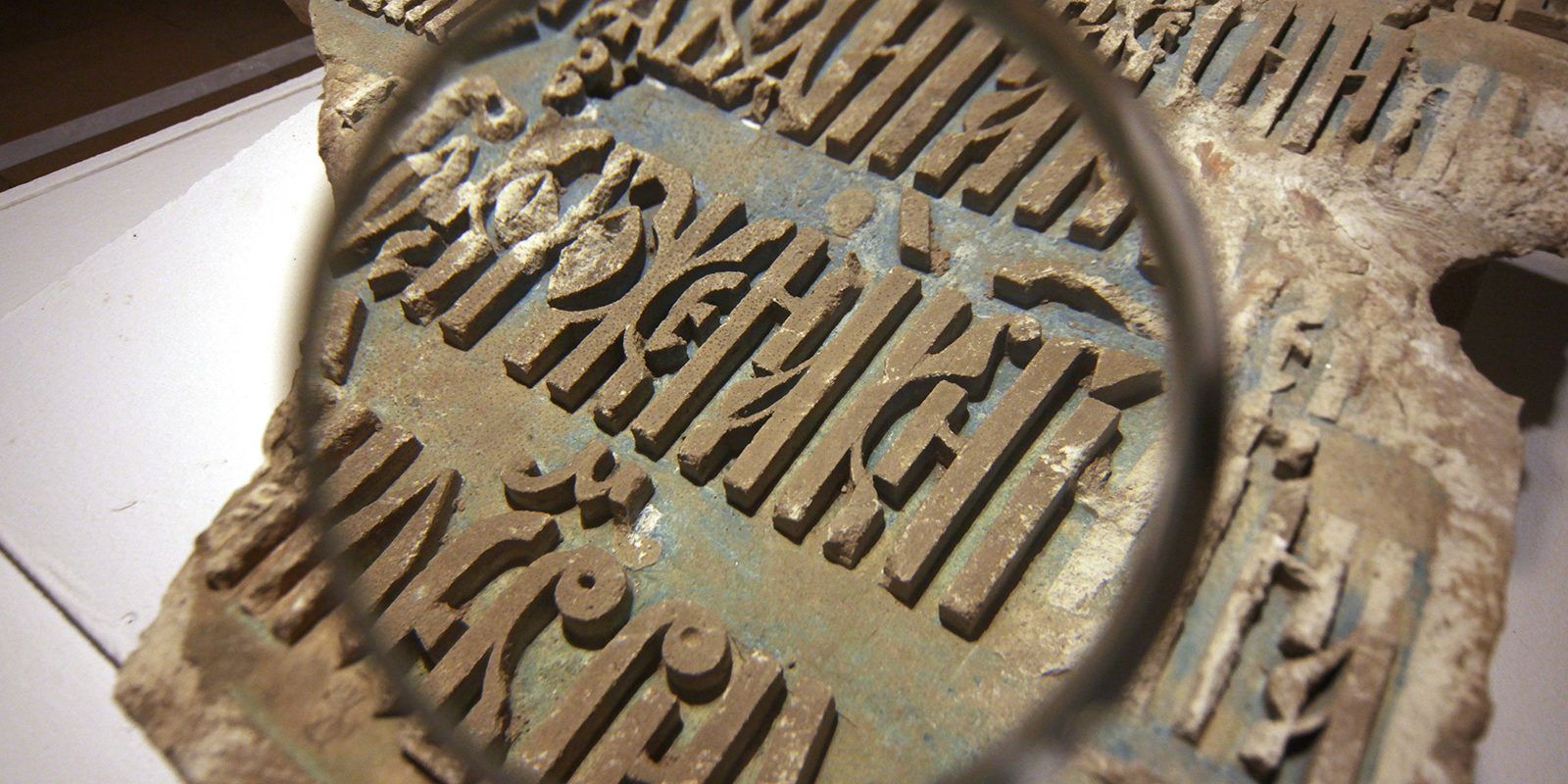 Старт серии пятничных экскурсий в ландшафтном парке «Митино» – события на сайте «Московские Сезоны»