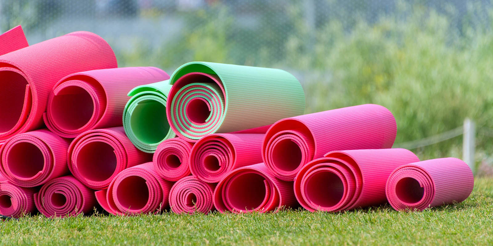 День йоги в Бабушкинском парке – события на сайте «Московские Сезоны»