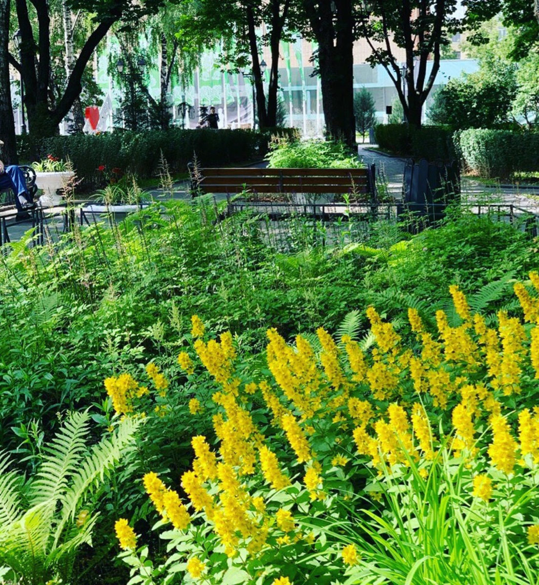 Фестиваль #ЛетоСПользой в Бабушкинском парке – события на сайте «Московские Сезоны»
