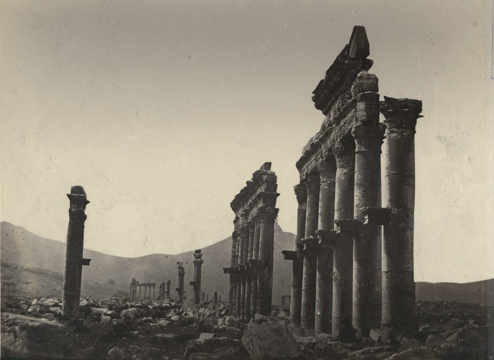 Выставка «Памятники Пальмиры: история и современность» – события на сайте «Московские Сезоны»