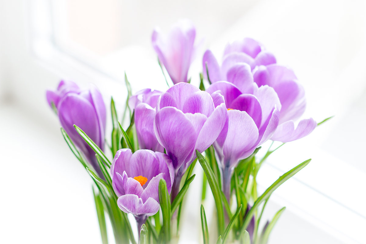 Творческий мастер-класс «Нитка-тушь» в клубе «Горизонт» – события на сайте «Московские Сезоны»