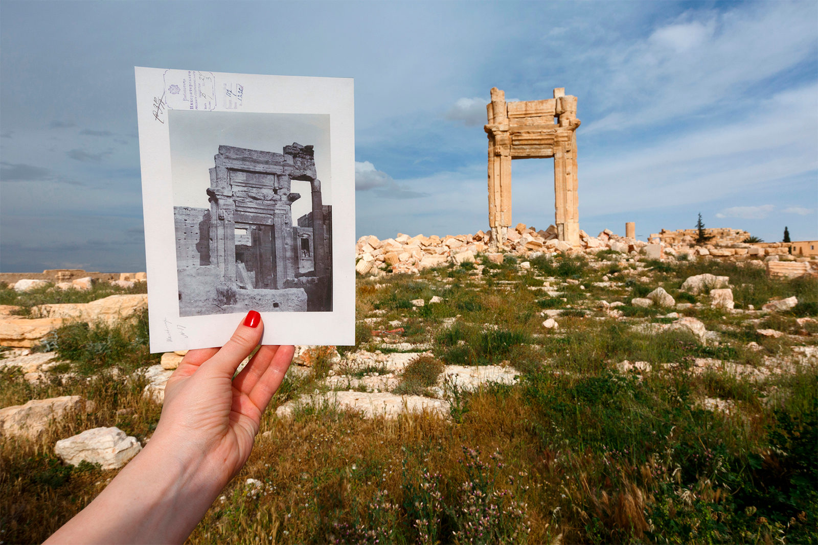 «Памятники Пальмиры: история и современность» на Гоголевском бульваре – события на сайте «Московские Сезоны»