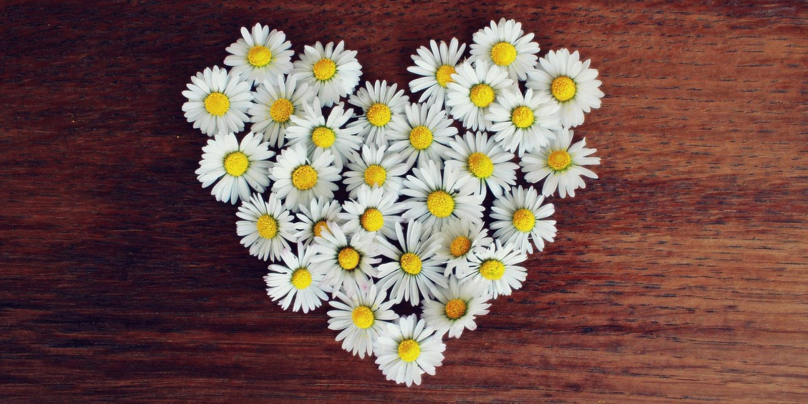 «Семья — вот истинное счастье!» в библиотеке № 233 – события на сайте «Московские Сезоны»