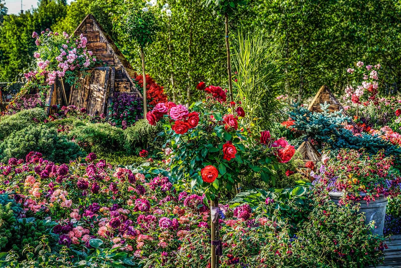 Фестиваль Moscow Flower Show в парке искусств «Музеон» – события на сайте «Московские Сезоны»