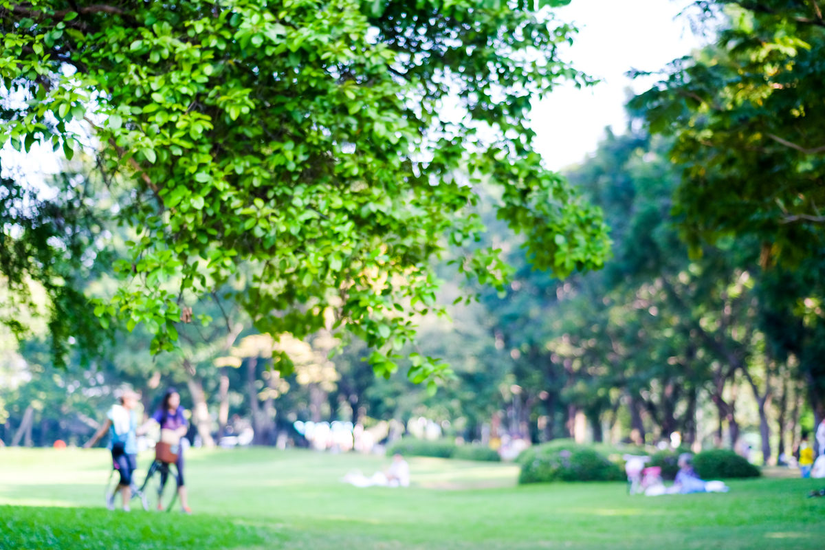 Московское лето в Богородском – события на сайте «Московские Сезоны»