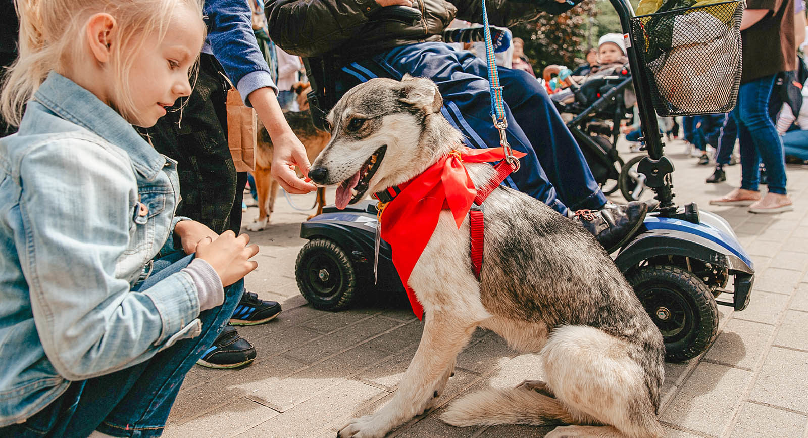 Фотовыставка «Пойдем домой» в Гончаровском парке – события на сайте «Московские Сезоны»