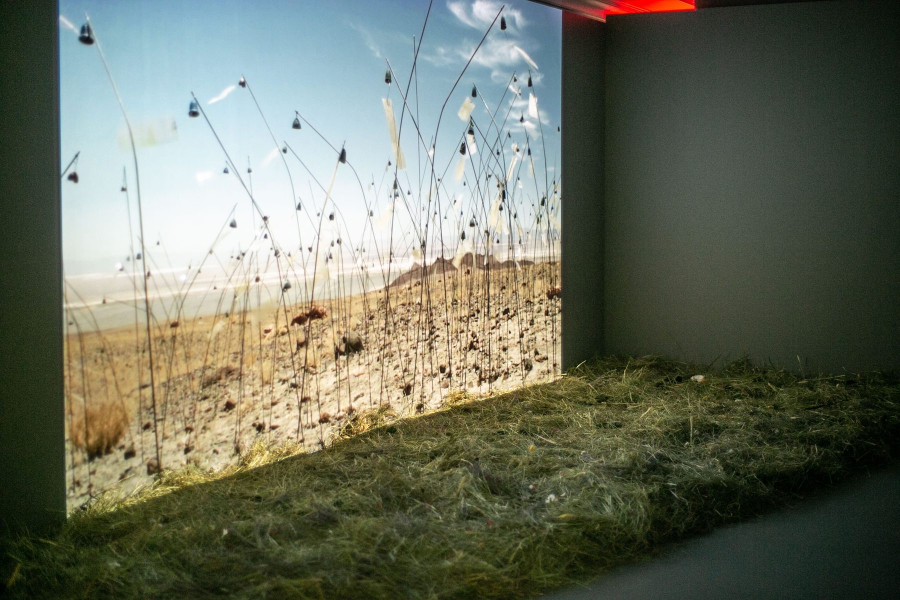 Дискуссия «Флавин, Рихтер, Болтански: созерцание и чувствование в пространстве искусства» – события на сайте «Московские Сезоны»