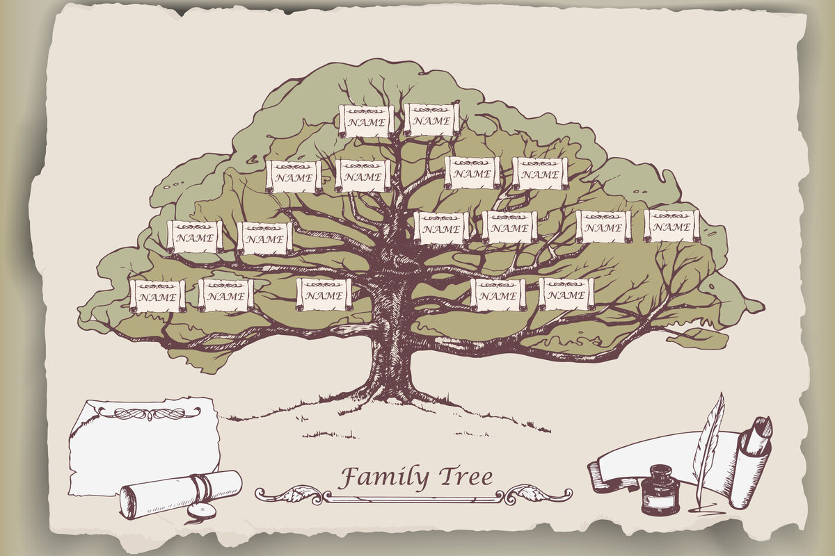 Интенсив по созданию генеалогического древа в ДК «Берендей» – события на сайте «Московские Сезоны»