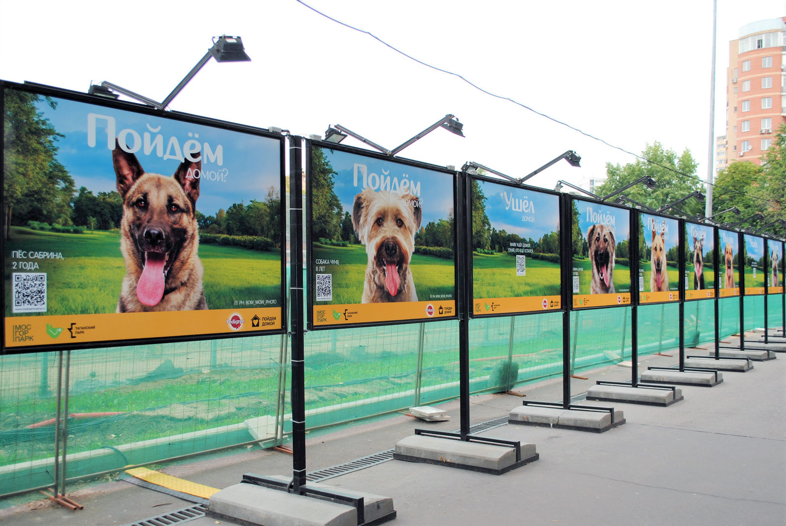 Интерактивная фотовыставка «Пойдем домой» в Таганском парке – события на сайте «Московские Сезоны»