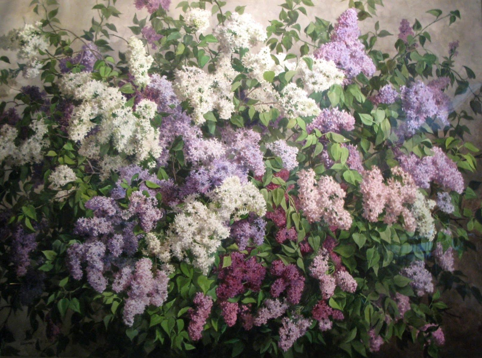 Выставка «Сергей Андрияка. Акварель» в выставочном зале «Тушино» – события на сайте «Московские Сезоны»