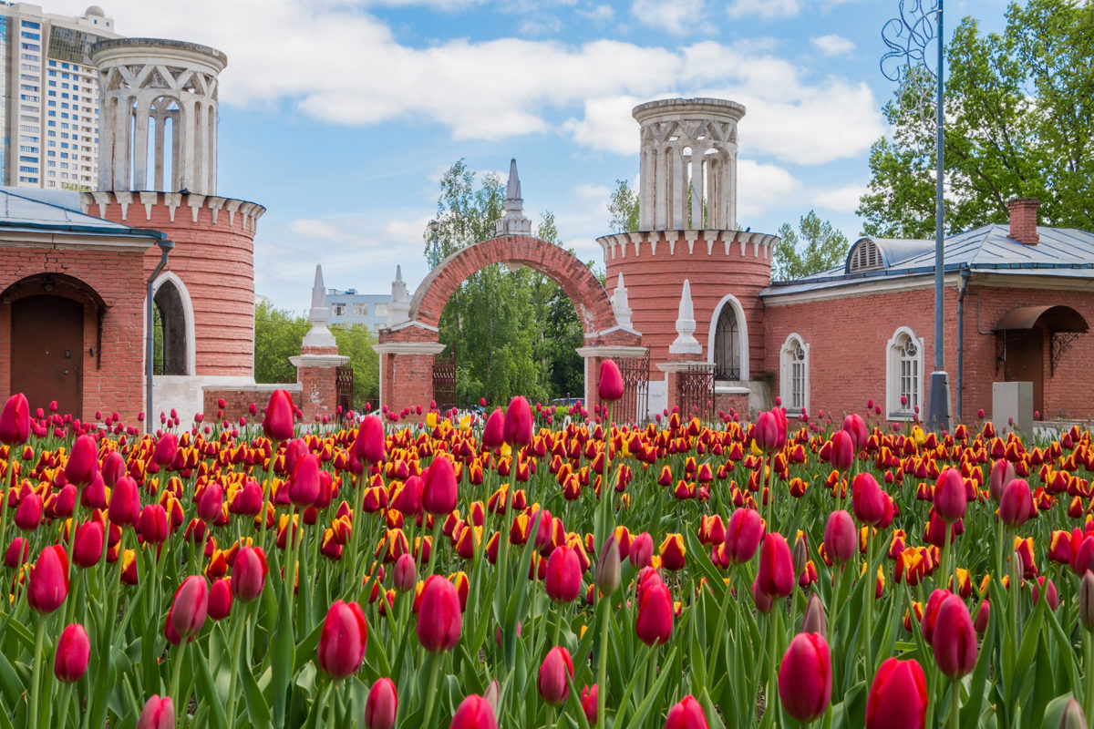 Интерактивная программа для детей «Живая краса» в библиотеке № 100 – события на сайте «Московские Сезоны»