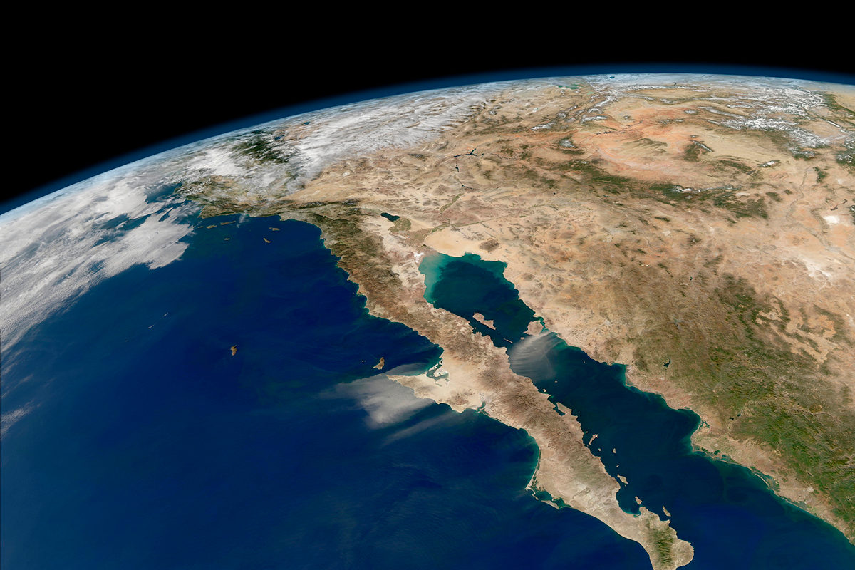 Интерактивная программа «По странам и континентам» в библиотеке №100 – события на сайте «Московские Сезоны»