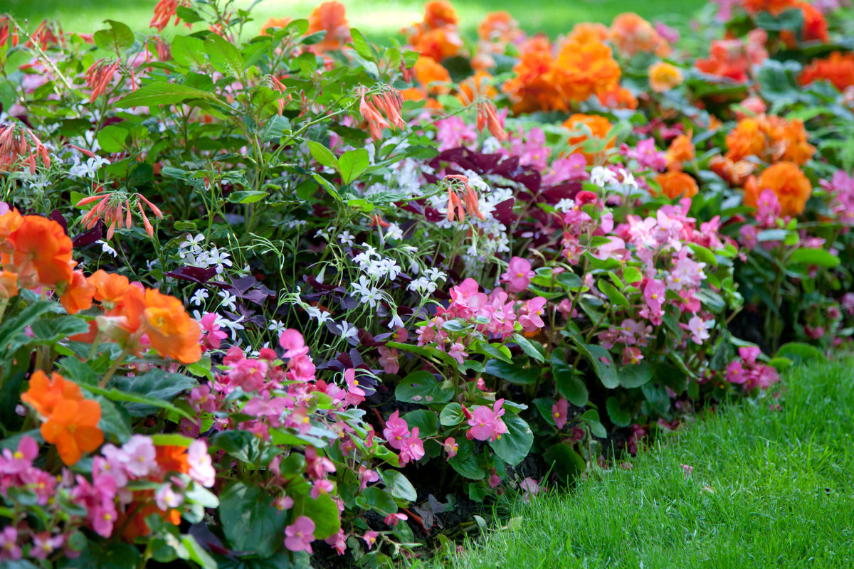 Краеведческая беседа «Останкино — дворец-театр» в библиотеке № 141 – события на сайте «Московские Сезоны»