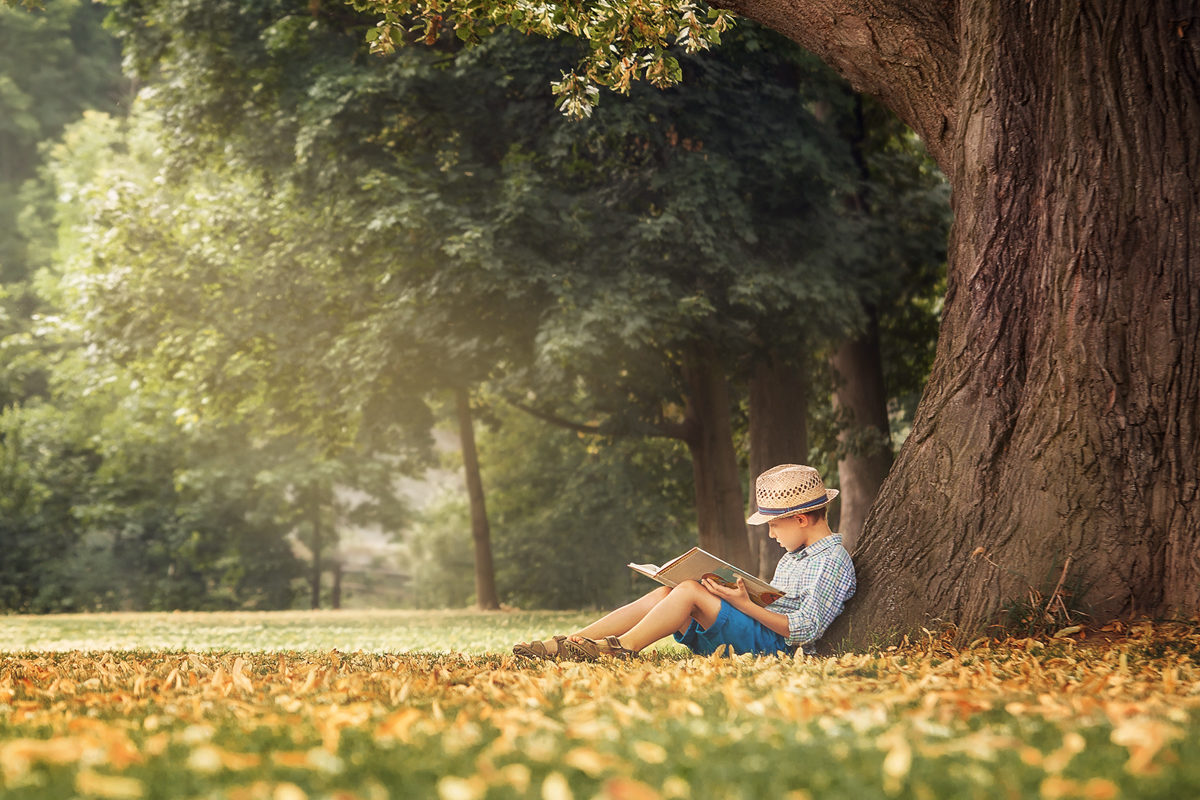 Литературная викторина «Волшебный мир чудес» в библиотеке № 118 – события на сайте «Московские Сезоны»