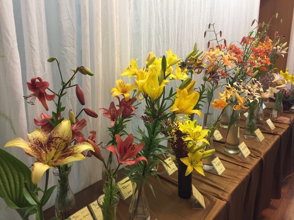 Цветочная выставка «Лилии позднего срока цветения» в Биологическом музее – события на сайте «Московские Сезоны»