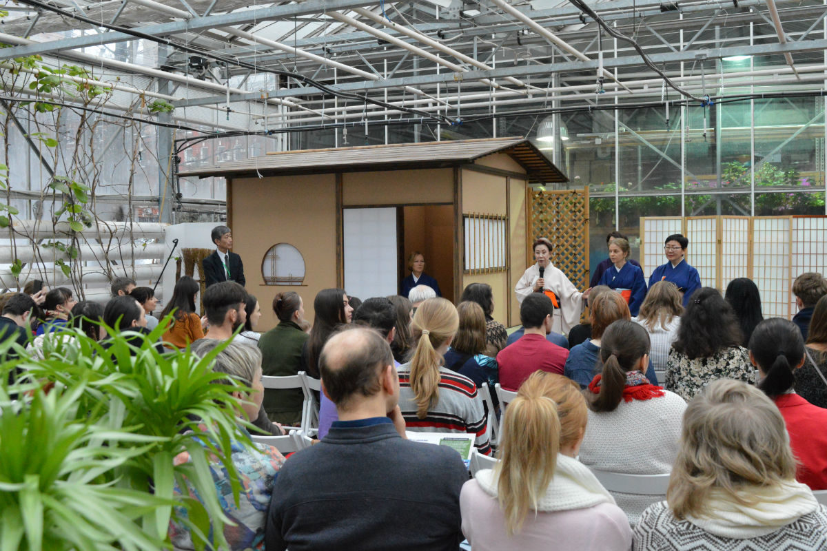 Японская чайная церемония в «Аптекарском огороде» – события на сайте «Московские Сезоны»